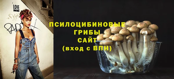 прущие грибы Горно-Алтайск
