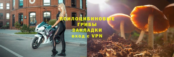 дурь Горняк