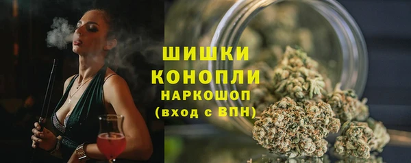 прущие грибы Горно-Алтайск