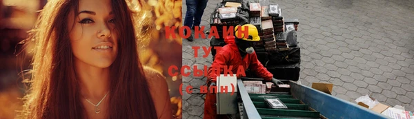 твердый Горнозаводск