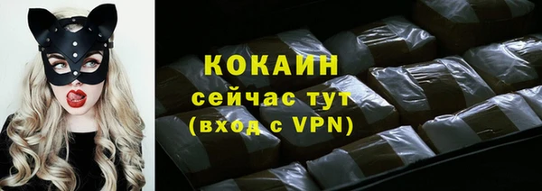 твердый Горнозаводск