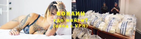 прущие грибы Горно-Алтайск