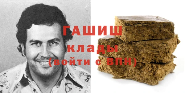 прущие грибы Горно-Алтайск