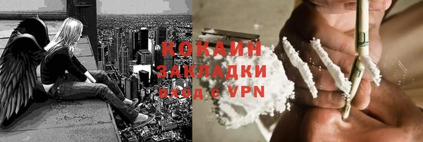 прущие грибы Горно-Алтайск
