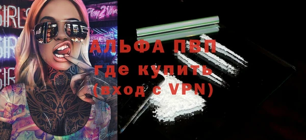 прущие грибы Горно-Алтайск