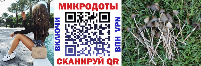 Галлюциногенные грибы прущие грибы как найти закладки Меленки