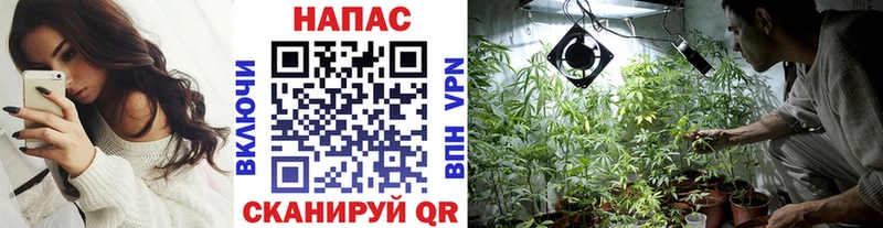 наркошоп Меленки Бошки марихуана Bruce Banner